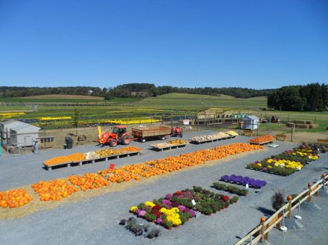 Enchanting fall dates in the Lehigh Valley