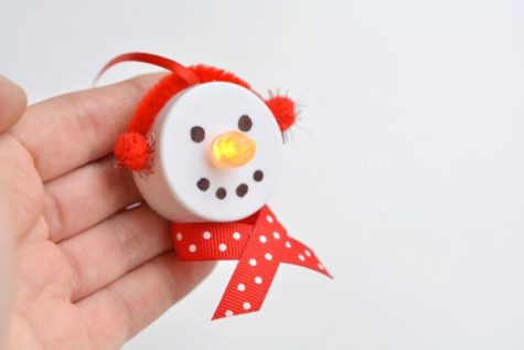 DIY HOLIDAY DECORATIONS