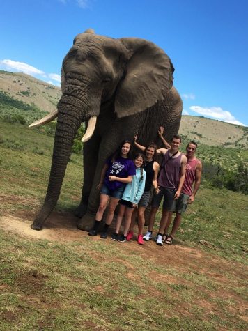 KORESH TAKES ON AFRICAN SAFARI