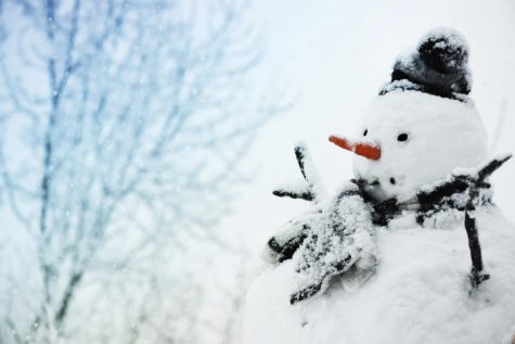 MAKING THE MOST OF DELAYS AND SNOW DAYS