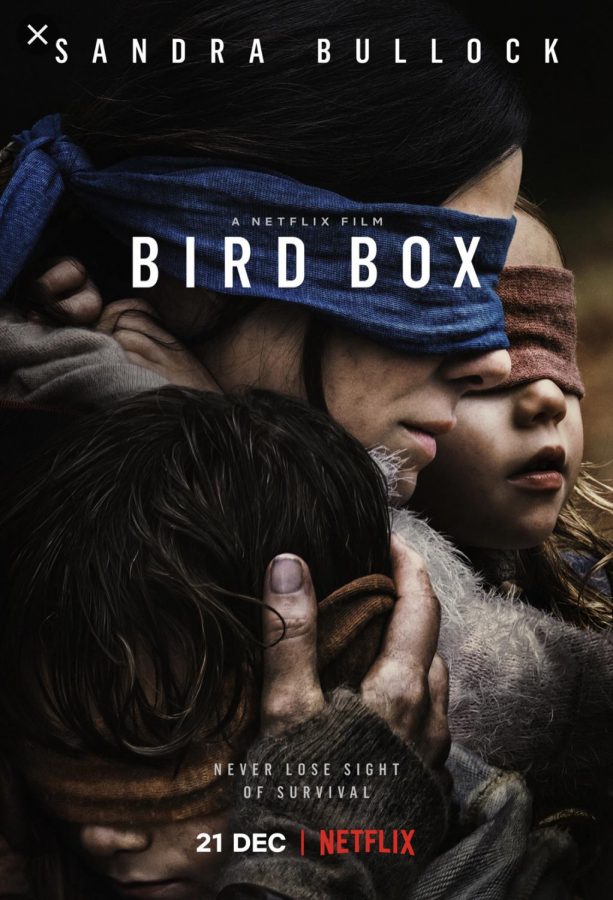 TAKE YOUR BLINDFOLD OFF AND WATCH BIRD BOX